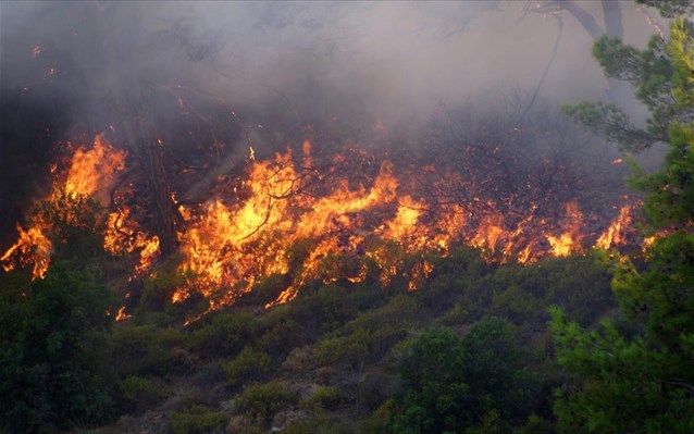 Φωτιά στην Κόρινθο: Μάχη με το χρόνο και τους ισχυρούς ανέμους – Κάηκαν σπίτια - Εκκενώνονται οικισμοί - ΒΙΝΤΕΟ - ΦΩΤΟ