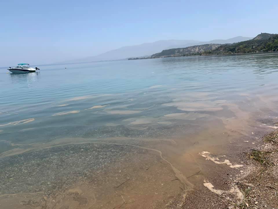 Δυτική Αχαΐα: "Μαύρισε" πάλι η θάλασσα - ΦΩΤΟ