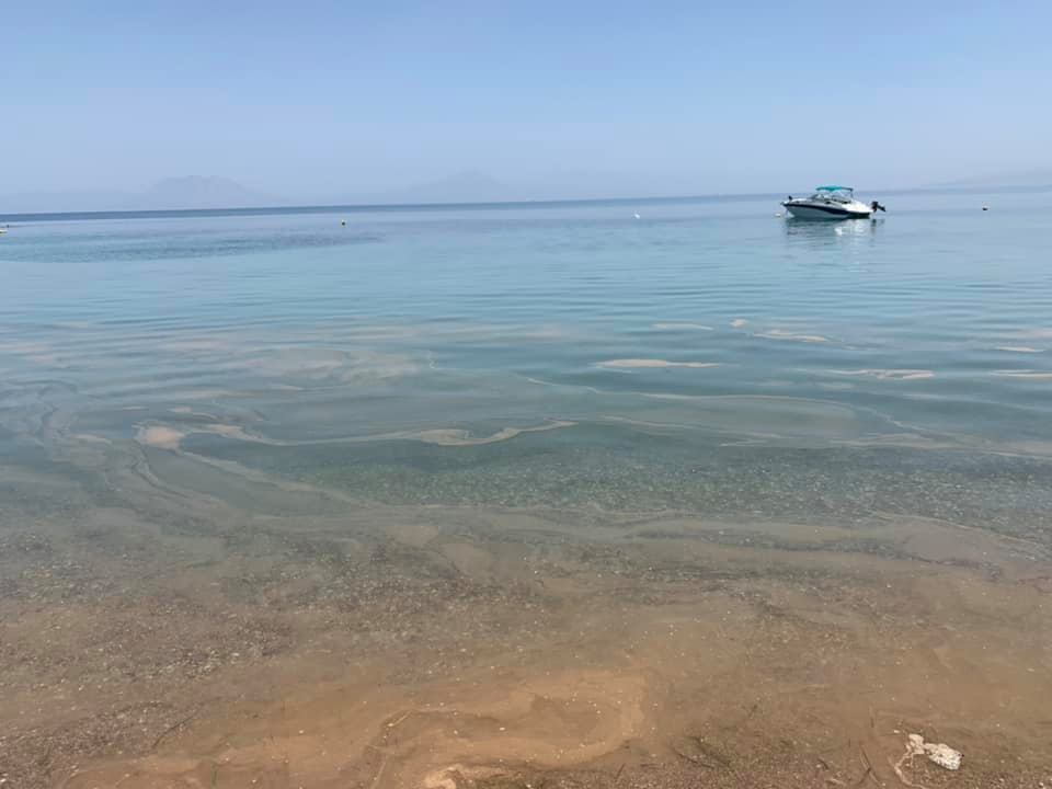Δυτική Αχαΐα: "Μαύρισε" πάλι η θάλασσα - ΦΩΤΟ