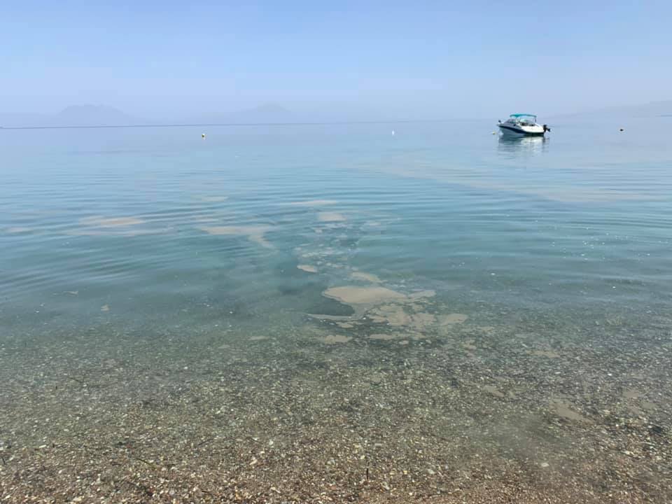 Δυτική Αχαΐα: "Μαύρισε" πάλι η θάλασσα - ΦΩΤΟ