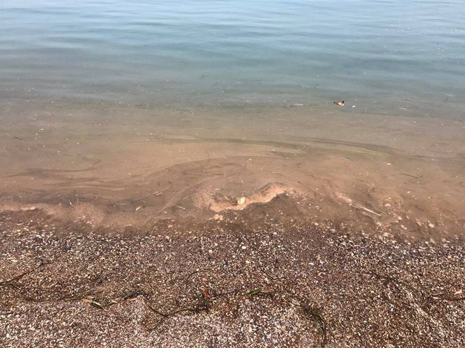 Δυτική Αχαΐα: "Μαύρισε" πάλι η θάλασσα - ΦΩΤΟ