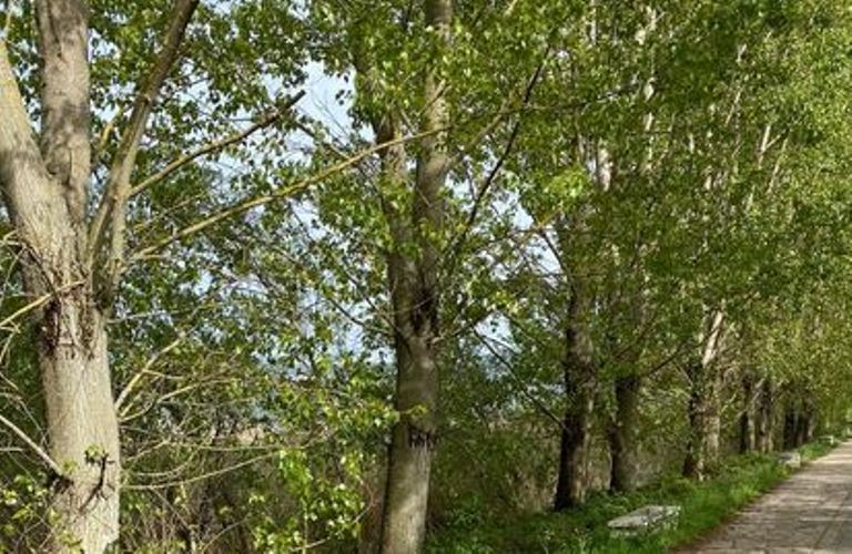 Πάτρα: Έκοβε χόρτα και έκοψε... το χέρι του