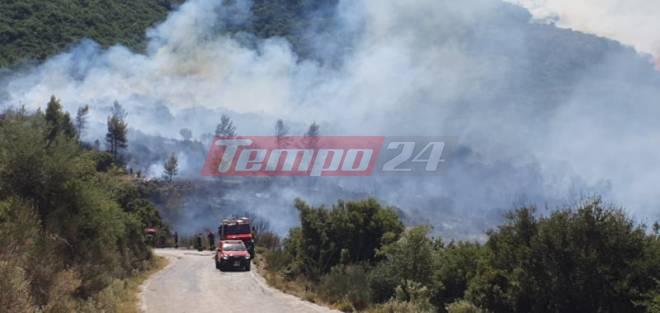 "Απευθύνουμε έκκληση για βοήθεια... Καιγόμαστε" - Δραματική έκκληση του δημάρχου Ερυμάνθου μέσω του tempo24 μετά τη διάσπαση των πυροσβεστικών δυνάμεων σε Δροσιά και Ελεκίστρα - ΒΙΝΤΕΟ - ΦΩΤΙΑ