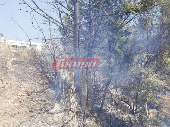 Πύρινη κόλαση: Στις φλόγες Ελεκίστρα, Σούλι, Καρυά, Ριγανόκαμπος - Η στιγμή που σπίτι, παραδίδεται στις φλόγες - Χαμηλές πτήσεις των αεροπλάνων στην Πάτρα! ΒΙΝΤΕΟ - ΦΩΤΟ