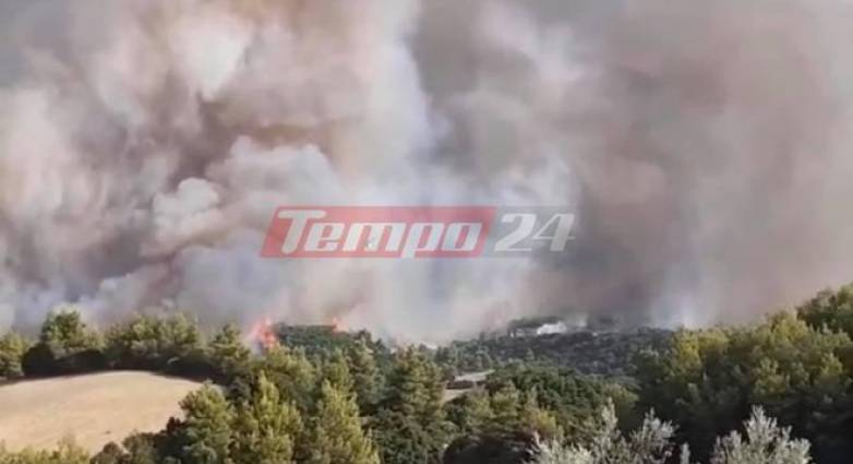 Πύρινος εφιάλτης στην Αχαΐα: Ποιοι ήθελαν να κάψουν τον Ερύμανθο; Καταγγελία του Δημάρχου για εμπρησμό: "Μπήκαν και άλλες φωτιές πριν...τη μεγάλη"