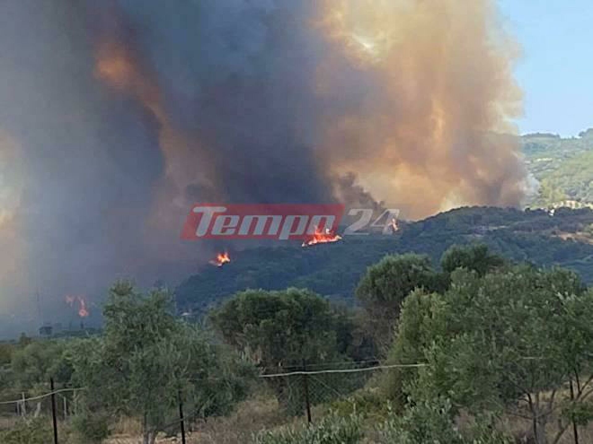 Φωτιές – Ποιες περιοχές αντιμετωπίζουν υψηλό κίνδυνο σήμερα - Σε "κίτρινο συναγερμό" η Δυτ. Ελλάδα