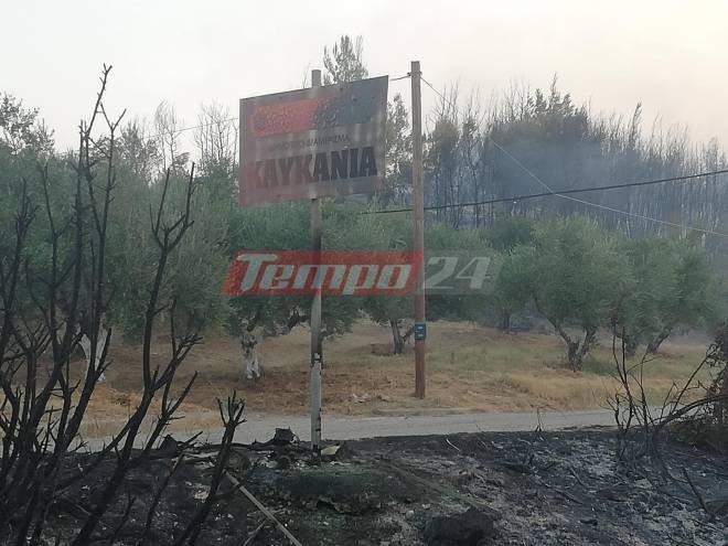 Το tempo24 στην Ηλεία: Ολονύχτια μάχη με τις φλόγες - Γλίτωσε από τη φωτιά ο αρχαιολογικός χώρος της Αρχαίας Ολυμπίας (ΦΩΤΟ & ΒΙΝΤΕΟ)