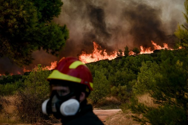 Πυρκαγιές: Μάχη σε πολλά μέτωπα στη Μεσσηνία