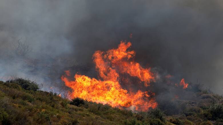 Φωτιά στη Φθιώτιδα: Εκκενώθηκε το Λογγίτσι - Τα πύρινα μέτωπα πολιορκούν το χωριό
