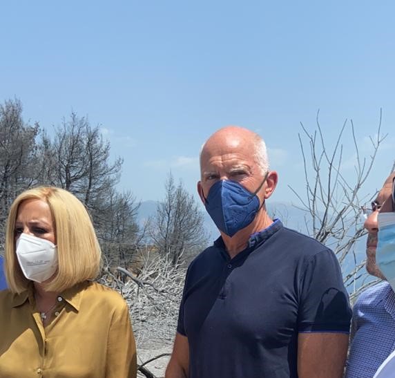 Γ. Παπανδρέου: Είναι προφανές ότι, η κυβέρνηση αδυνατεί να αντιμετωπίσει αποτελεσματικά τις φετινές πυρκαγιές - Με Φ. Γεννηματά στις πυρόπληκτες περιοχές της Αχαΐας
