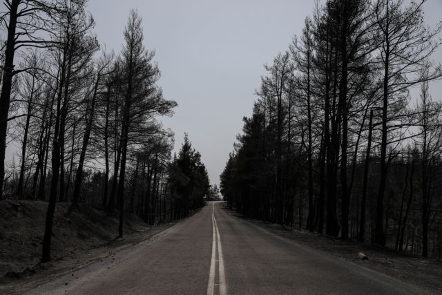 Η ΠΕΔ Πελοποννήσου στηρίζει τους πυρόπληκτους