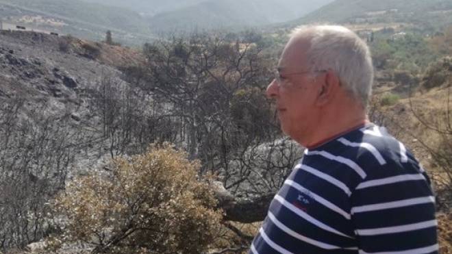 Νίκος Παπαδημάτος: «Η καταστροφή στο οικοσύστημα και στις περιουσίες του κόσμου είναι μεγάλη»