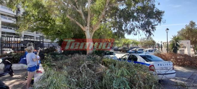 Πάτρα: Παραλίγο σοβαρό ατύχημα στη Μαρίνα - Τους ήρθε το δέντρο στο κεφάλι (ΦΩΤΟ)