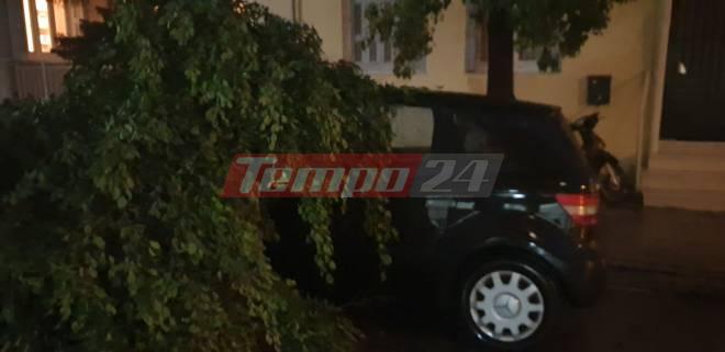 Πάτρα: "Ξήλωσε" δέντρα η καταιγίδα - Έπεσαν πάνω σε αυτοκίνητα (ΦΩΤΟ)