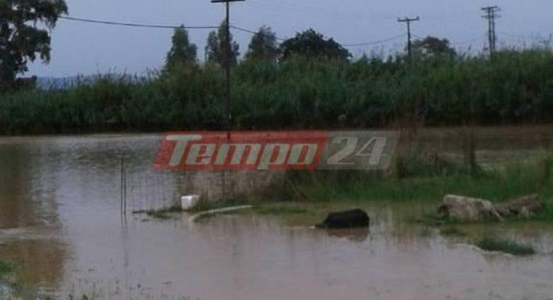 Ευθύμιος Λέκκας: Νέα κανονικότητα τα ακραία καιρικά φαινόμενα - Κυβερνητικό κλιμάκιο σε Αγρίνιο, Μεσολόγγι και Ιθάκη - Προβλήματα και στην Αχαΐα - ΒΙΝΤΕΟ