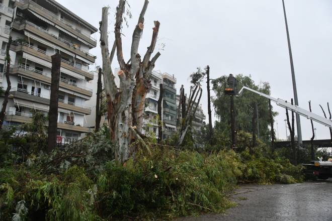 Πάτρα: Κλαδεύουν δέντρα σε Ηρώων Πολυτεχνείου, Καποδιστρίου και Μαιζώνος