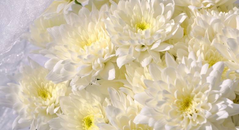 Πάτρα: Κηδείες που θα γίνουν Δευτέρα & Τρίτη