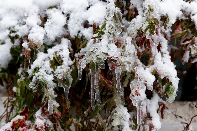 Καιρός - Μαρουσάκης: Ο «Ωμέγα Εμποδιστής» επαναφέρει τον χειμώνα στη χώρα μας