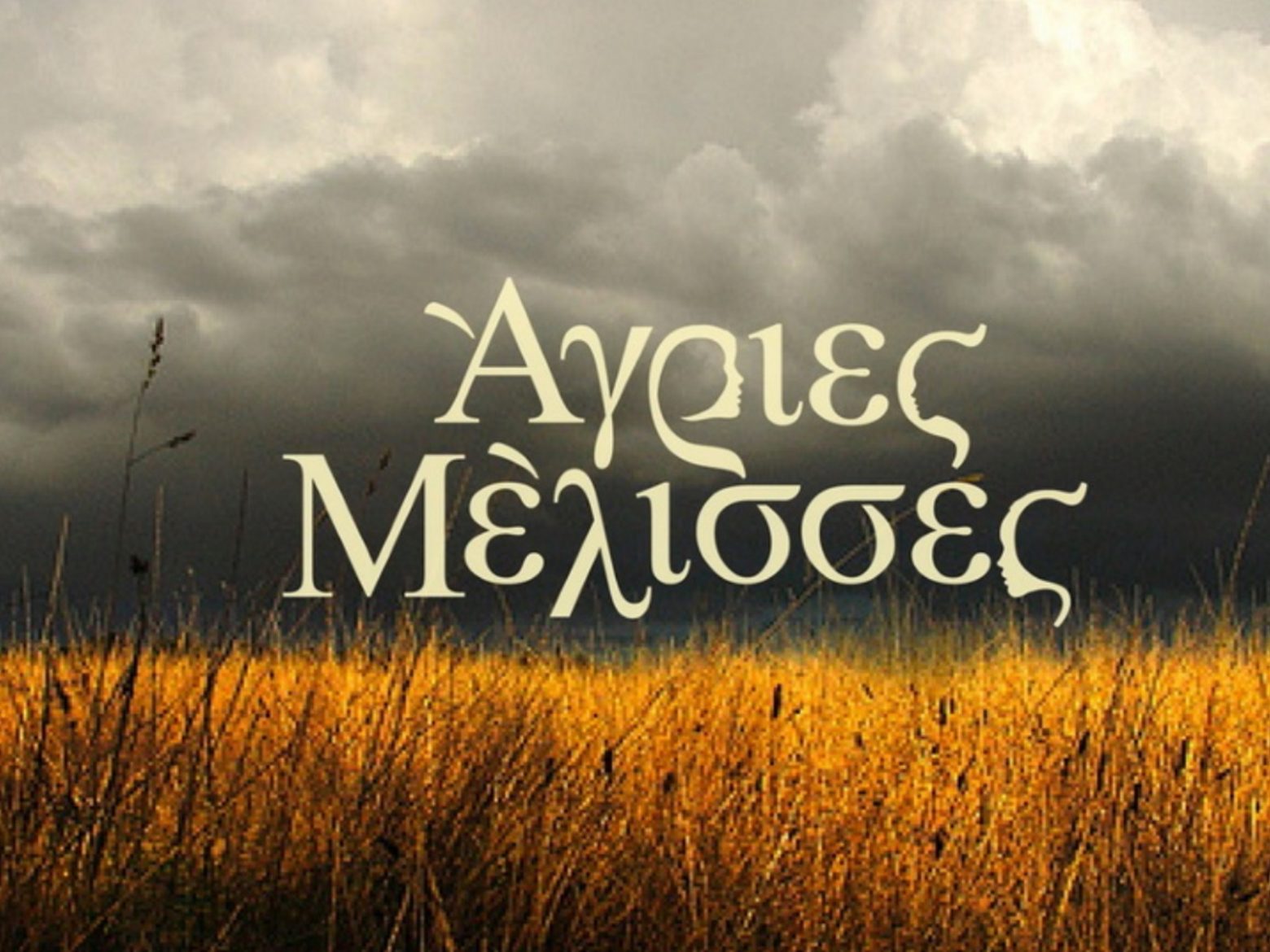 Γιώργος Γεροντιδάκης: Ανακοίνωσε το φινάλε της σειράς, Άγριες Μέλισσες