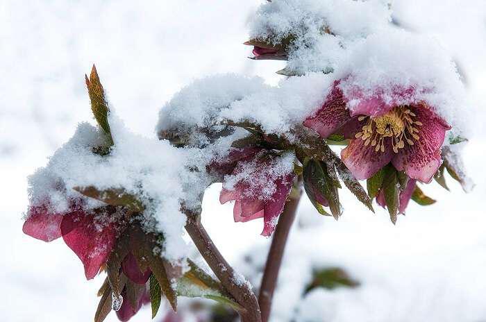 Σε ποια περιοχή το θερμόμετρο έδειξε -11,1 βαθμούς Κελσίου