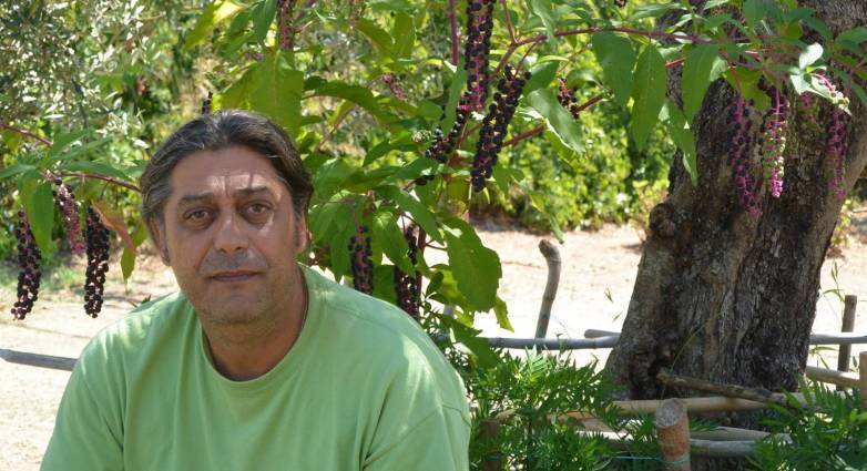 Απαλλοτρίωση