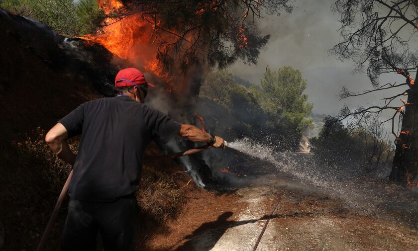 Φωτιά στο Δίστομο Βοιωτίας – Μάχη να μη φτάσουν οι φλόγες σε κατοικημένη περιοχή