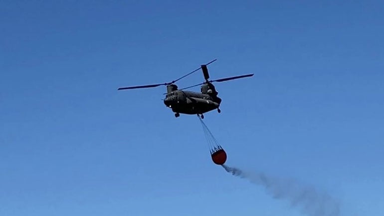 Ολοκληρώθηκε η άσκηση «Forest Guardian 2023»