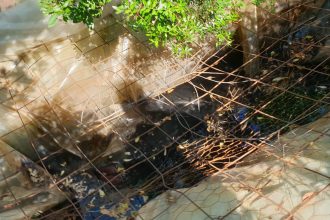 Δέσποινα Μοιραράκη: Ένας χρόνος από τον θάνατο του Γιάννη Κοντούλη – Συγκινημένη στο μνημόσυνο του συζύγου της