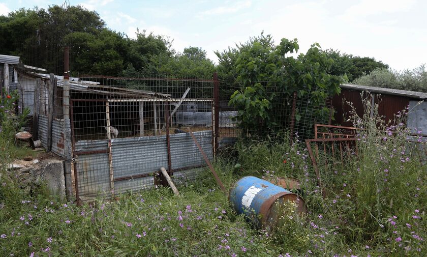 Θρίλερ με τον θάνατο της 68χρονης κτηνοτρόφου - Οι αρχές εξετάζουν και το ενδεχόμενο δυστυχήματος