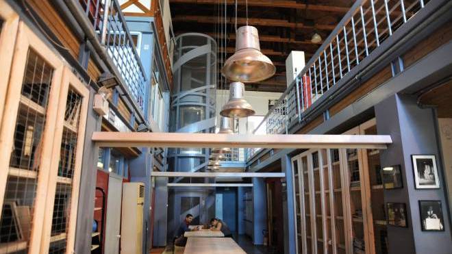 Διπλωματικές παραστάσεις των τελειόφοιτων της Δραματικής σχολής του ΔΗ.ΠΕ.ΘΕ. Πάτρας