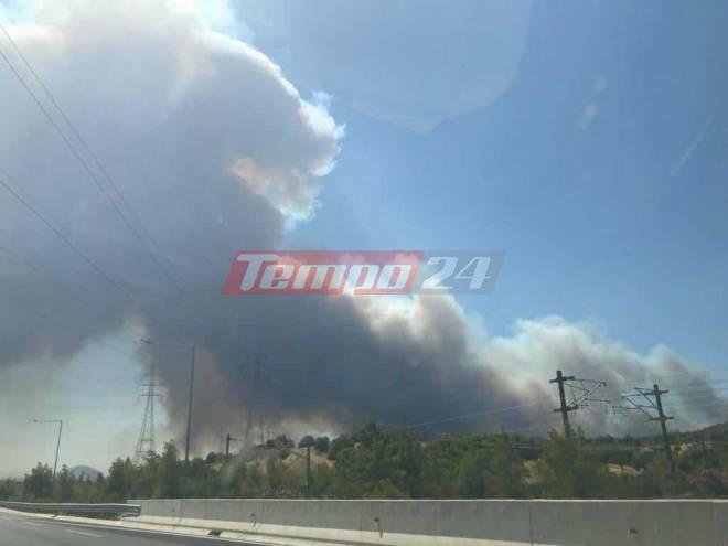 Μάχη με τις φλόγες σε Κουβαρά, Λαγονήσι, Λουτράκι και Πανόραμα Σαρωνίδας - Κάηκαν σπίτια και αυτοκίνητα, εκκενώθηκαν οικισμοί (ΝΕΟΤΕΡΑ)