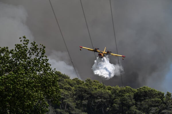 Φωτιά στη Βοιωτία - Ισχυρές δυνάμεις στο σημείο