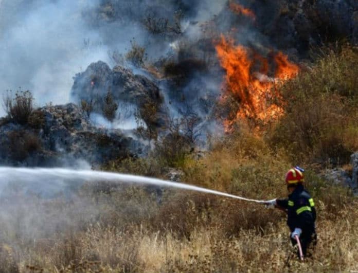 Αλεξανδρούπολη: Αρχίζει η υποβολή αιτήσεων οικονομικής ενίσχυσης των πυρόπληκτων