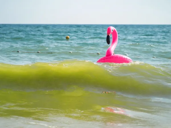 Χαλκιδική: Πεντάχρονος με «φλαμίνγκο» παρασύρθηκε από τα θαλάσσια ρεύματα στο Ποσείδι