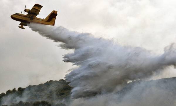Φωτιά στην Αλεξανδρούπολη: Ανεξέλεγκτο το πύρινο μέτωπο – Σηκώθηκαν τα εναέρια μέσα