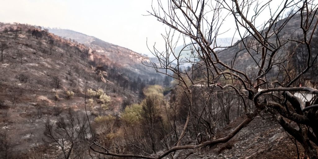 Φωτιά στην Κέρκυρα - Επιχειρούν και εναέρια μέσα