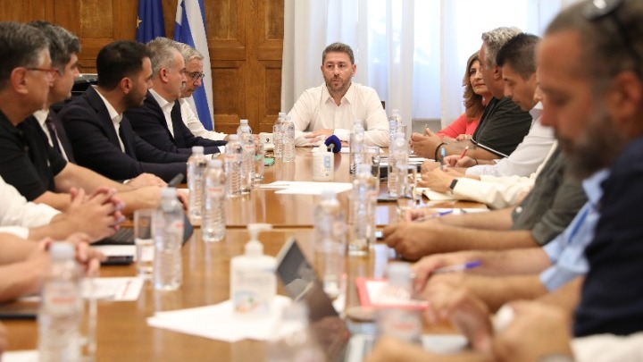 Ν. Ανδρουλάκης: Η κυβέρνηση απέτυχε παταγωδώς να προστατεύσει το δάσος της Δαδιάς