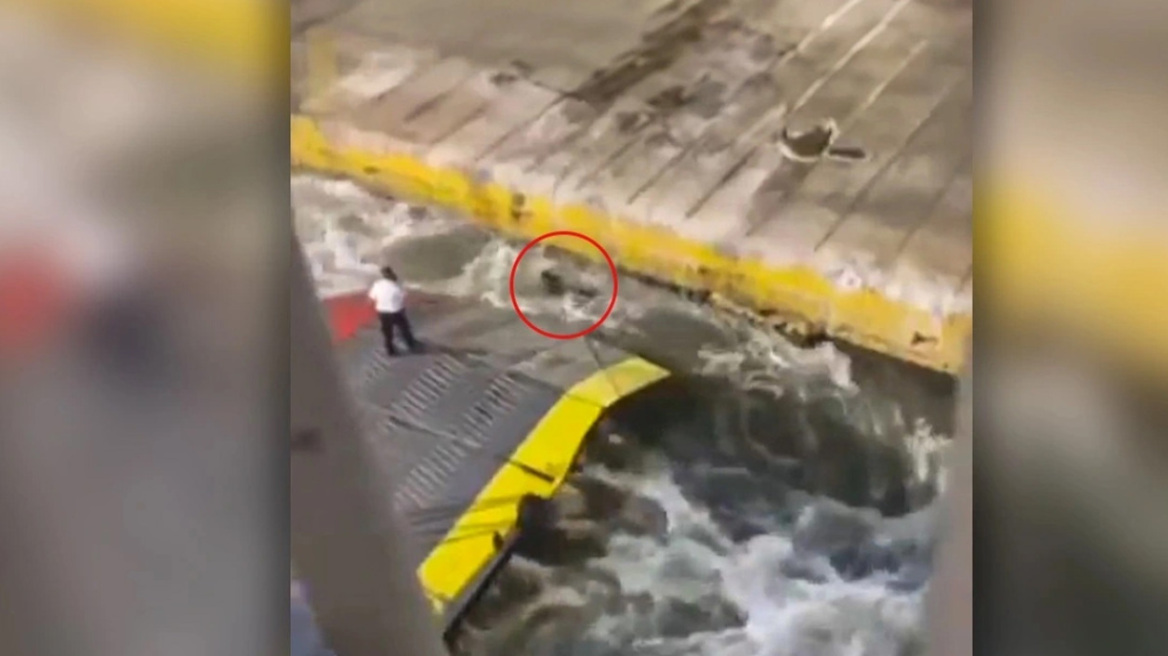 Blue Horizon: «Δεν θα πείτε ότι τον σπρώξατε» λέει ο πατρινός καπετάνιος για τον 36χρονο Αντώνη – Νέα ηχητικά ντοκουμέντα