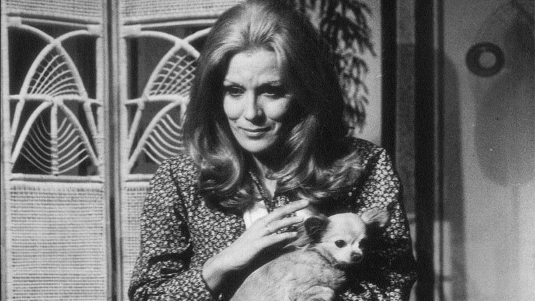 Ισραήλ: «Εξουδετερώσαμε τρομοκράτες που βγήκαν από τούνελ»