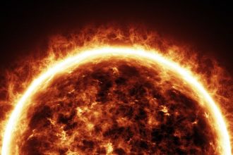 Η Νανά Παλαιτσάκη κατά της εκπομπής Super Κατερίνα – «Βλέπουμε κάτι που είναι ντροπή για την τηλεόραση»