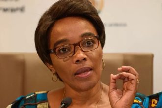 «Μου έβαλαν το όπλο στο κεφάλι» - Λήστεψαν την υπουργό Μεταφορών της Ν. Αφρικής ακινητοποιώντας το αυτοκίνητό της