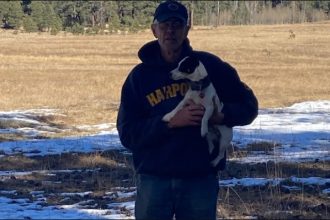 Αληθινός Χάτσικο – Σκύλος έμεινε για τρεις μήνες δίπλα στο άψυχο σώμα του αφεντικού του στα βουνά