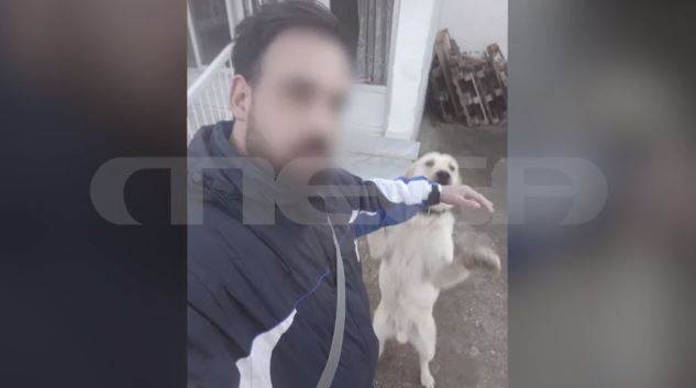 Έρευνες στο σπίτι του 37χρονου, του οποίου τα σκυλιά κατασπάραξαν την 50χρονη