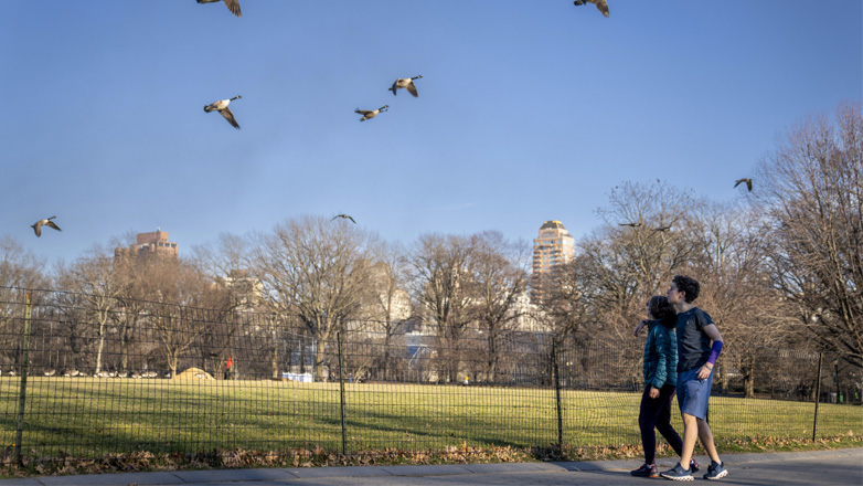 ΗΠΑ: Χιόνι μετά 2 χρόνια αναμένεται να δει η Νέα Υόρκη