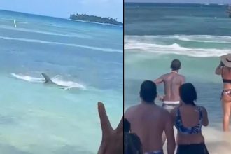 Κώστας Τσουρός: Ό,τι περνάμε στην παιδική μας ηλικία, το κουβαλάμε μέχρι να πεθάνουμε