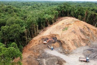Μειώθηκε κατά 50% πέρυσι ο ρυθμός αποψίλωσης στον Αμαζόνιο