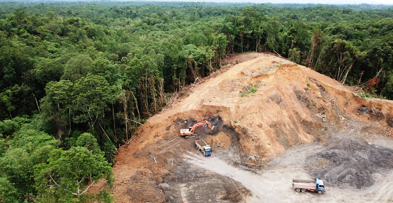 Μειώθηκε κατά 50% πέρυσι ο ρυθμός αποψίλωσης στον Αμαζόνιο