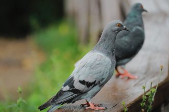 Λάμπρος Κωνσταντάρας για Κατερίνα Καινούργιου: «Δεν χαλάω τη ζαχαρένια μου, δεν με αγγίζει»