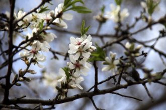 Καιρός: Αλκυονίδες μέρες τουλάχιστον μέχρι 15 Φεβρουαρίου