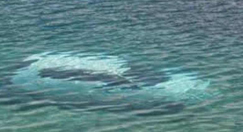 Καβγάδισαν και της έριξε το αυτοκίνητο στη θάλασσα